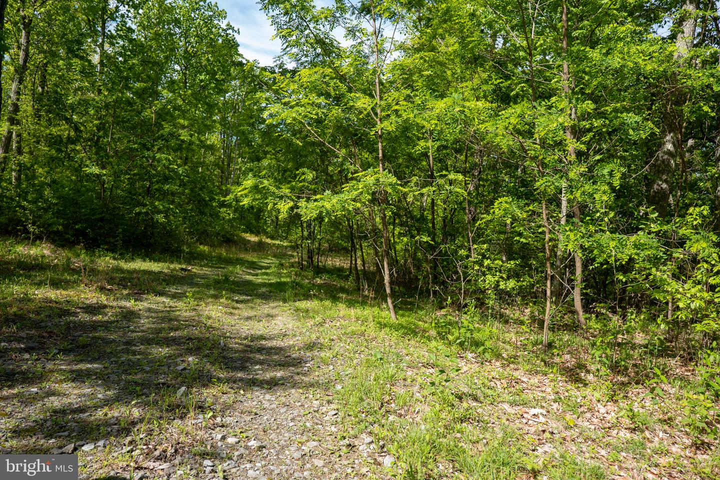 Lot 1 Laurel Mountain Rd Property Photo 118