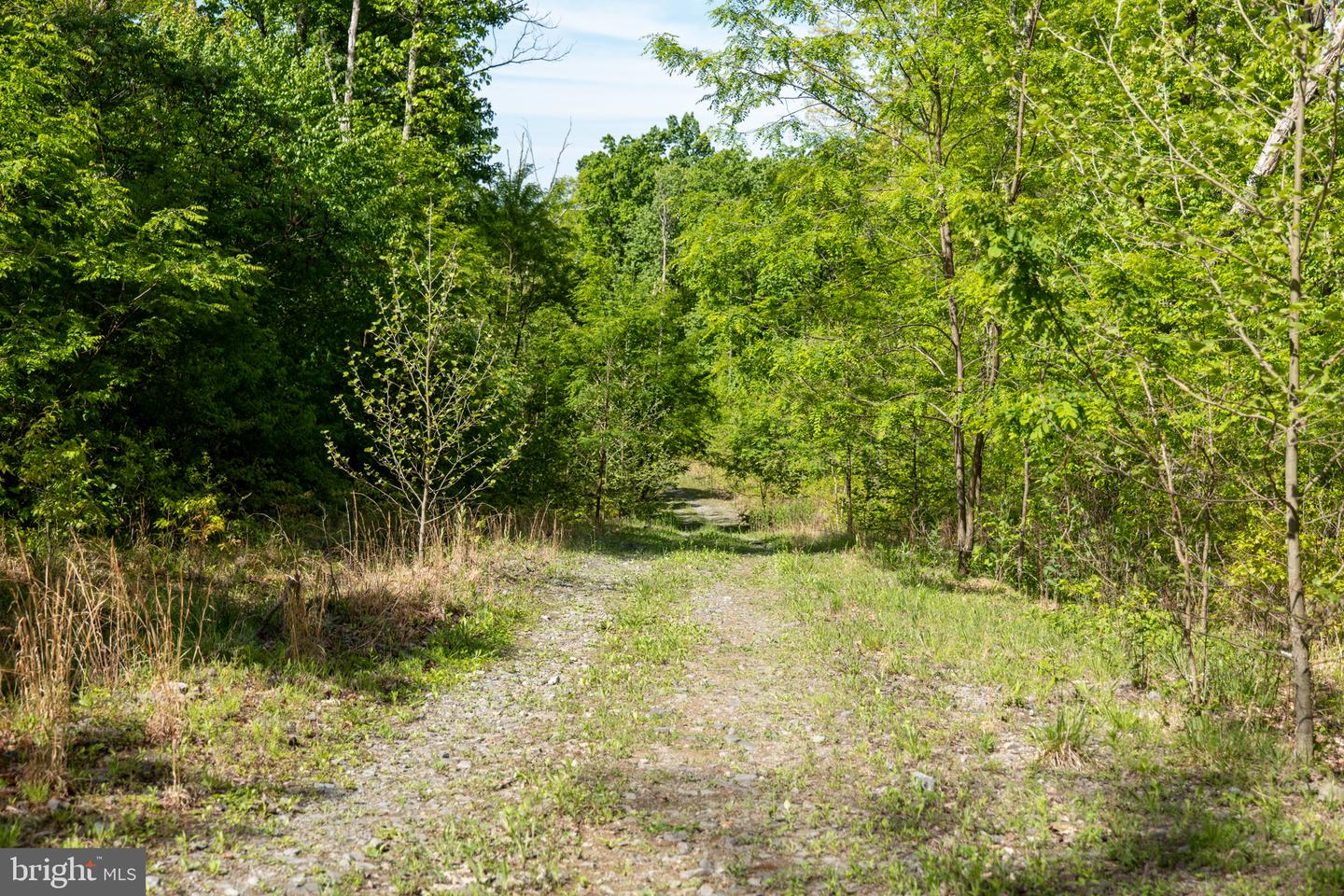 Lot 1 Laurel Mountain Rd Property Photo 119