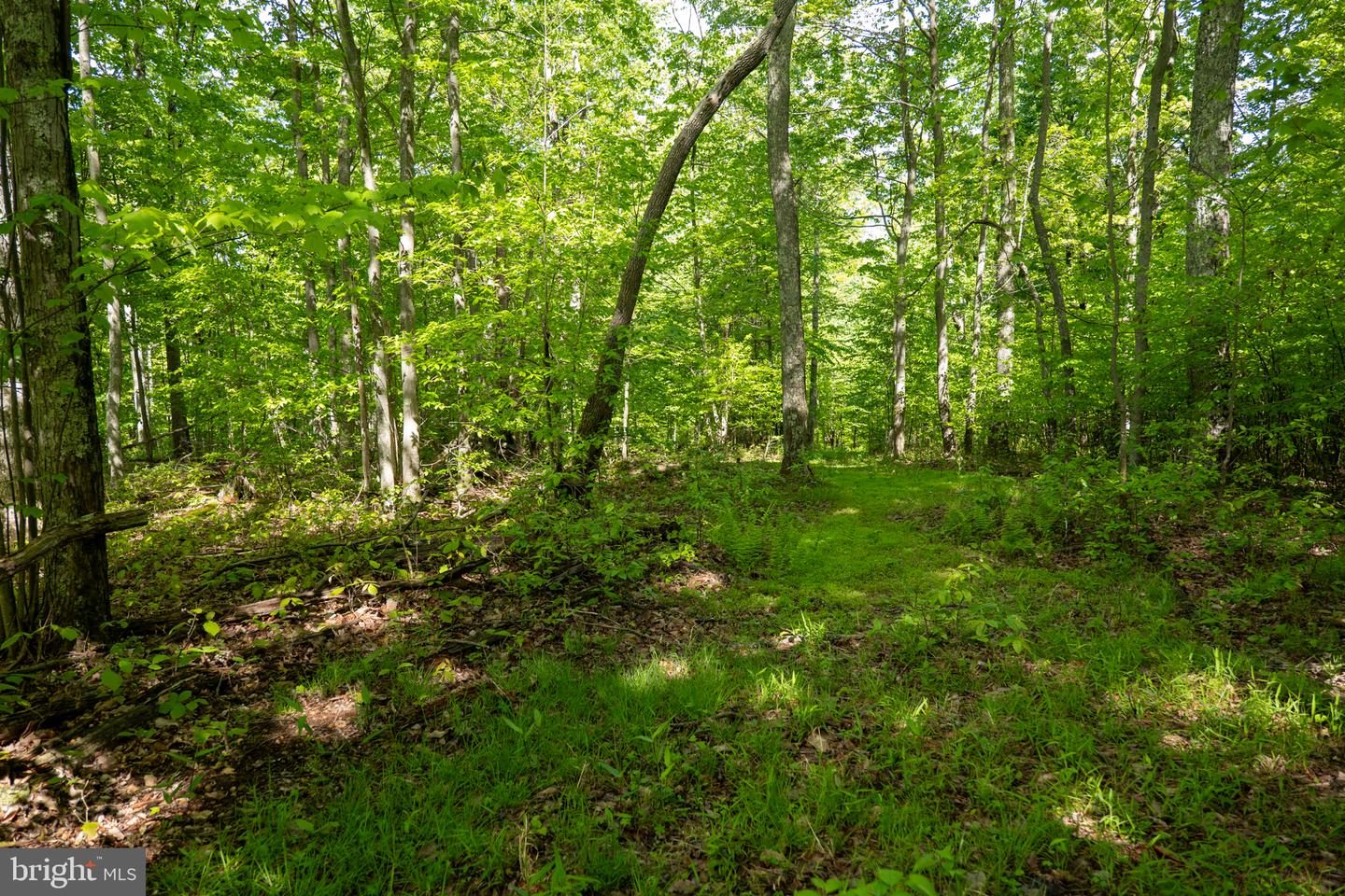 Lot 1 Laurel Mountain Rd Property Photo 120
