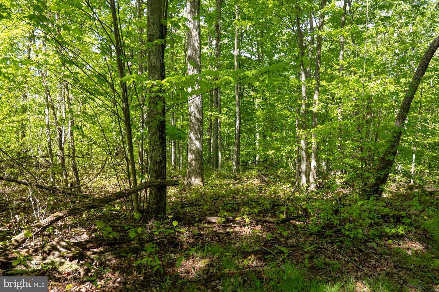 Lot 1 Laurel Mountain Rd Property Photo 121