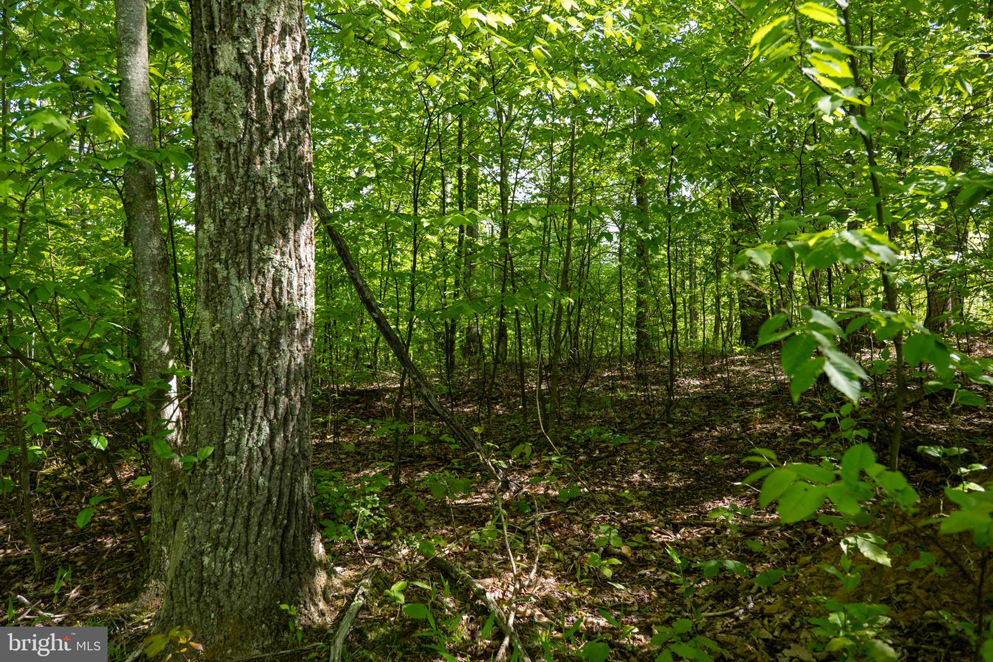 Lot 1 Laurel Mountain Rd Property Photo 122