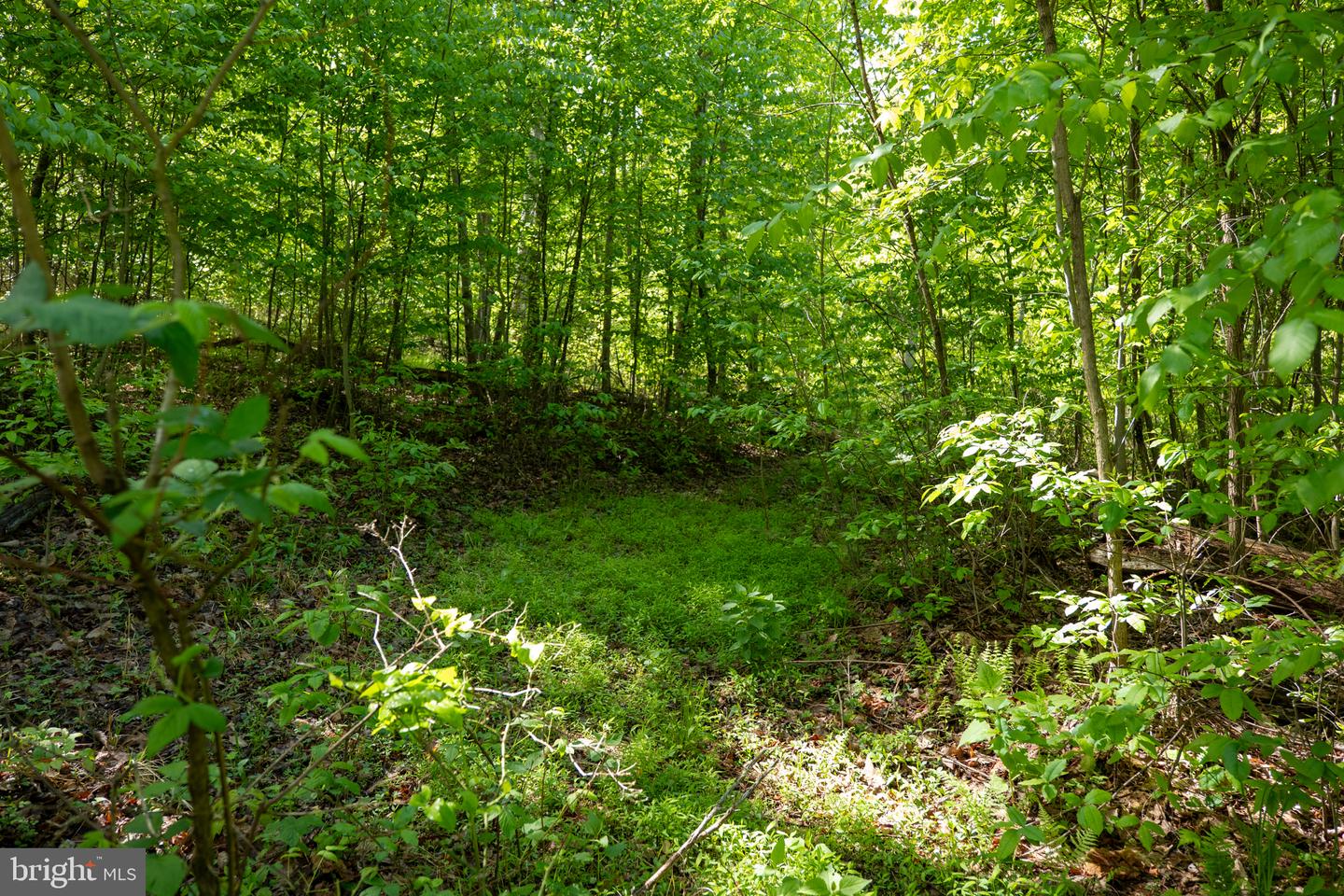 Lot 1 Laurel Mountain Rd Property Photo 123