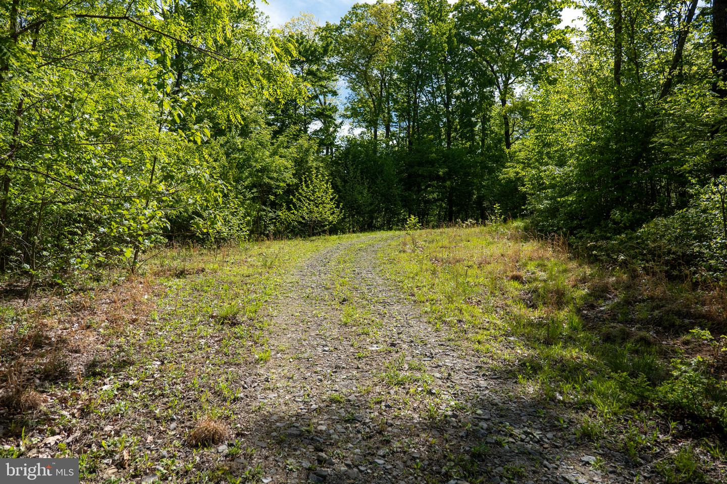 Lot 1 Laurel Mountain Rd Property Photo 124