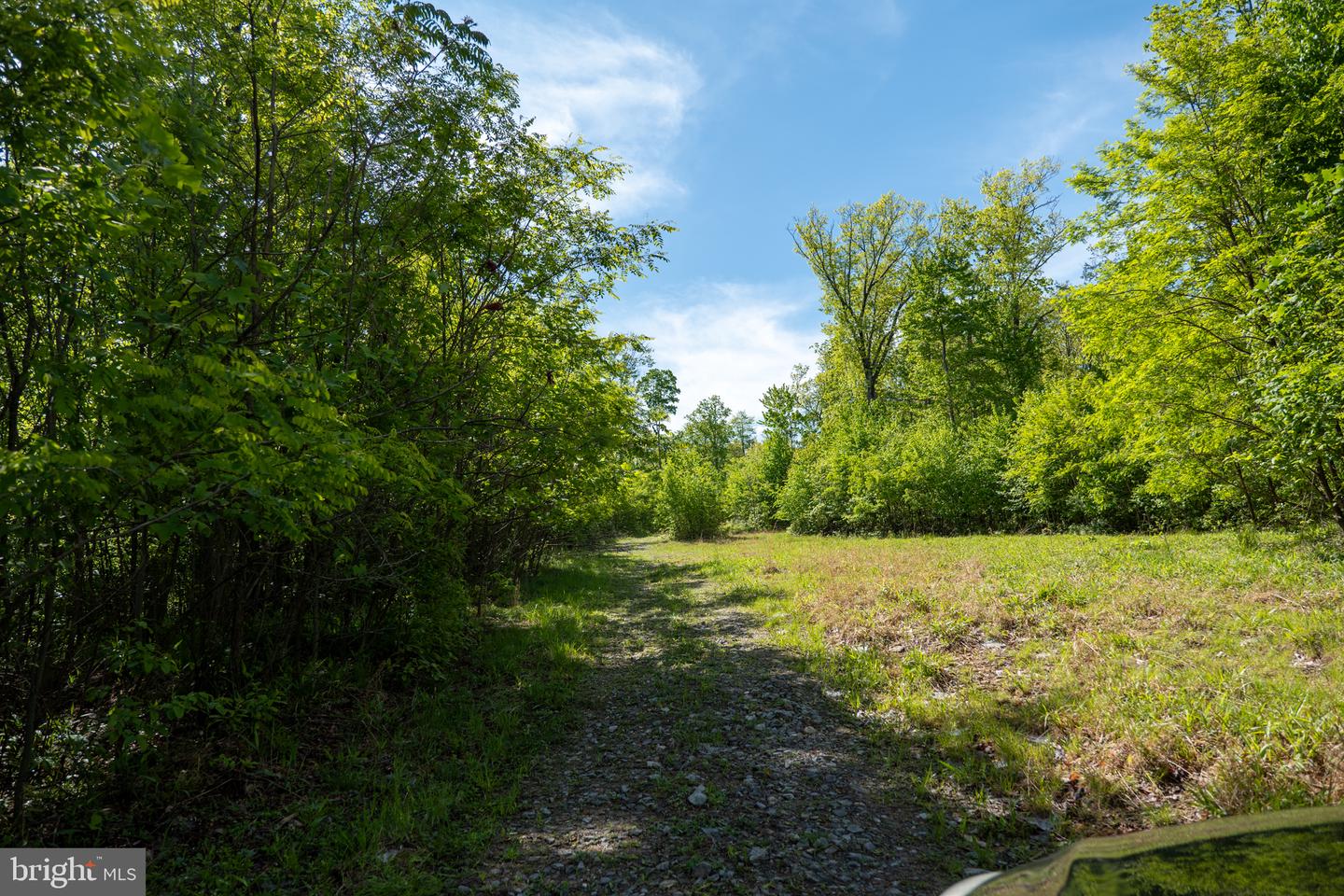 Lot 1 Laurel Mountain Rd Property Photo 125