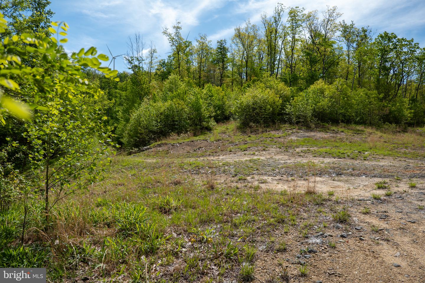 Lot 1 Laurel Mountain Rd Property Photo 127