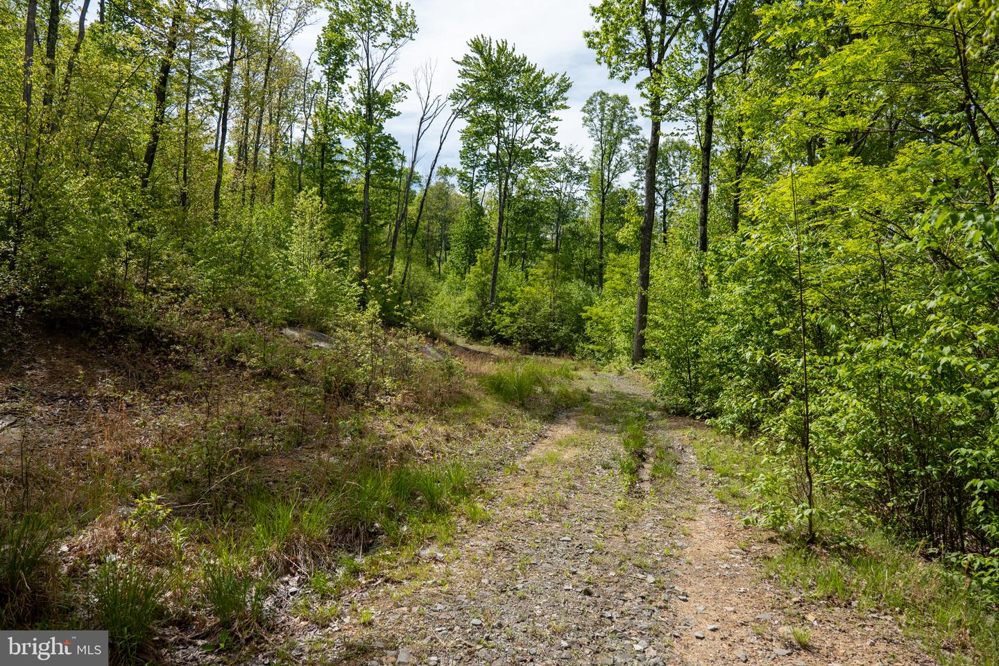 Lot 1 Laurel Mountain Rd Property Photo 128