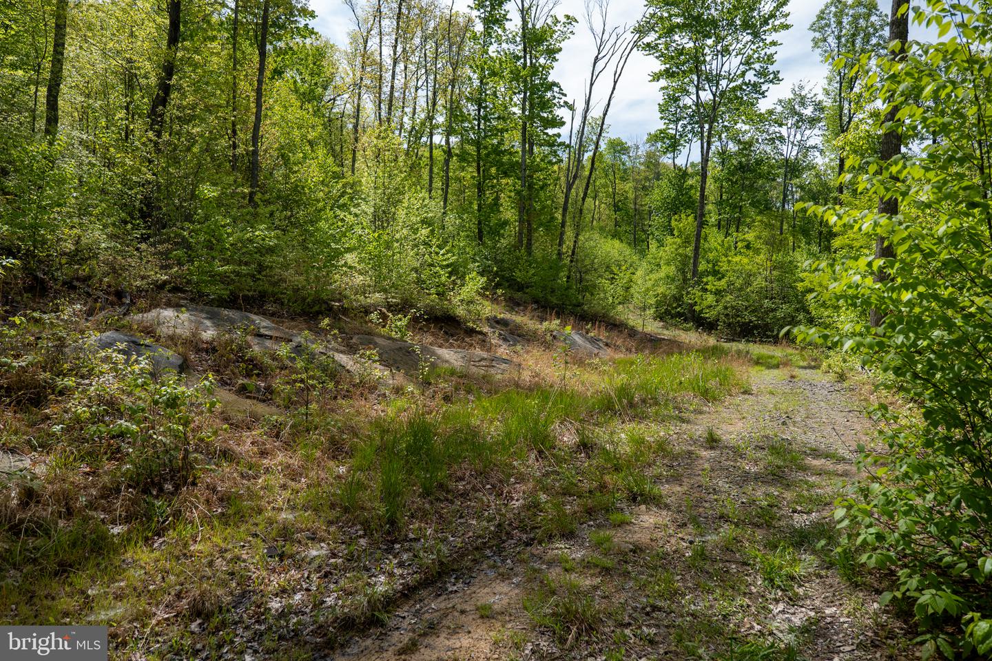 Lot 1 Laurel Mountain Rd Property Photo 129