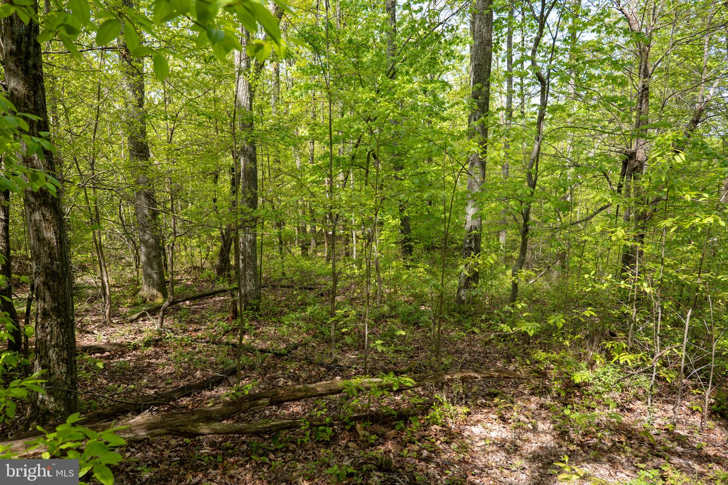 Lot 1 Laurel Mountain Rd Property Photo 130