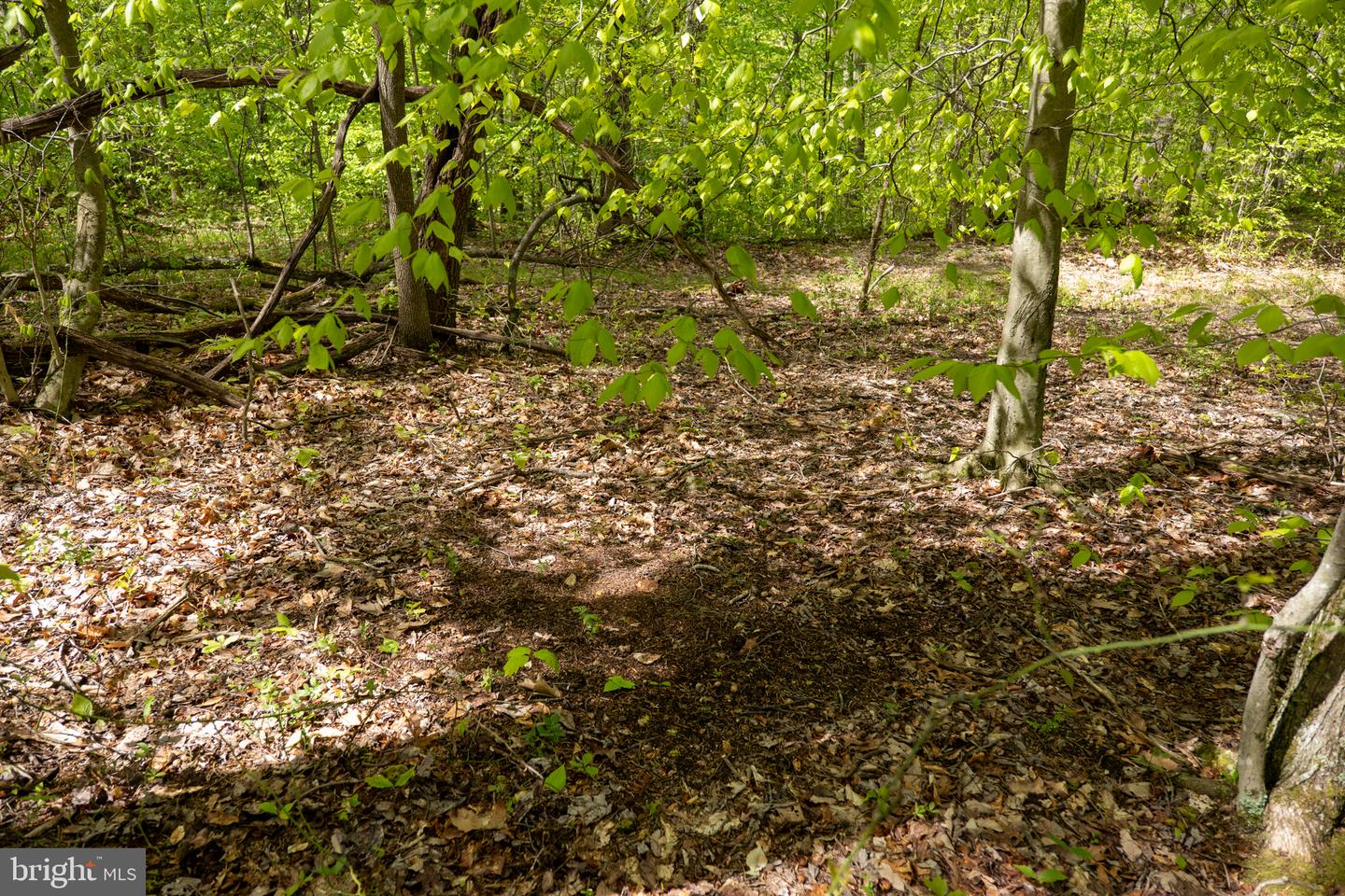 Lot 1 Laurel Mountain Rd Property Photo 131