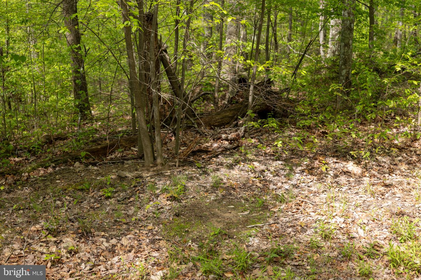 Lot 1 Laurel Mountain Rd Property Photo 132