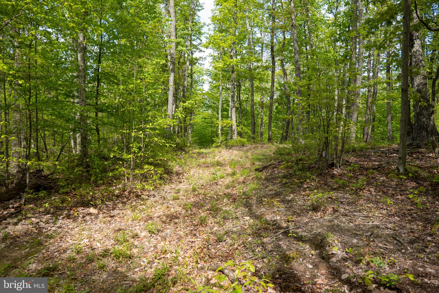Lot 1 Laurel Mountain Rd Property Photo 133