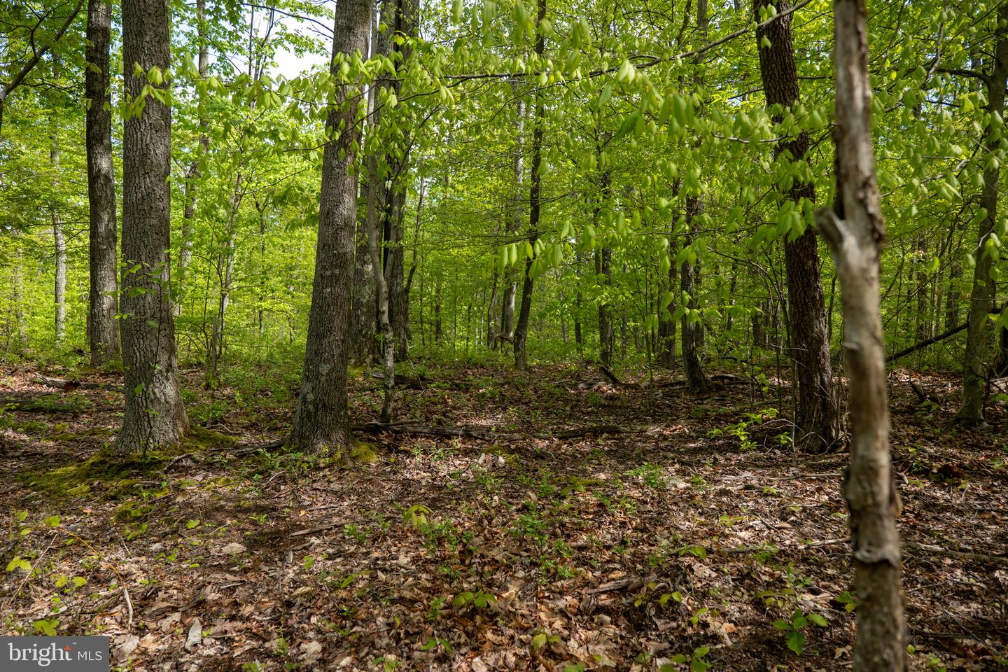 Lot 1 Laurel Mountain Rd Property Photo 134