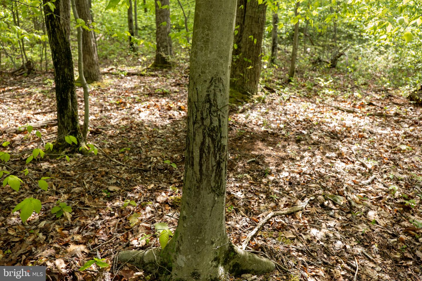 Lot 1 Laurel Mountain Rd Property Photo 135