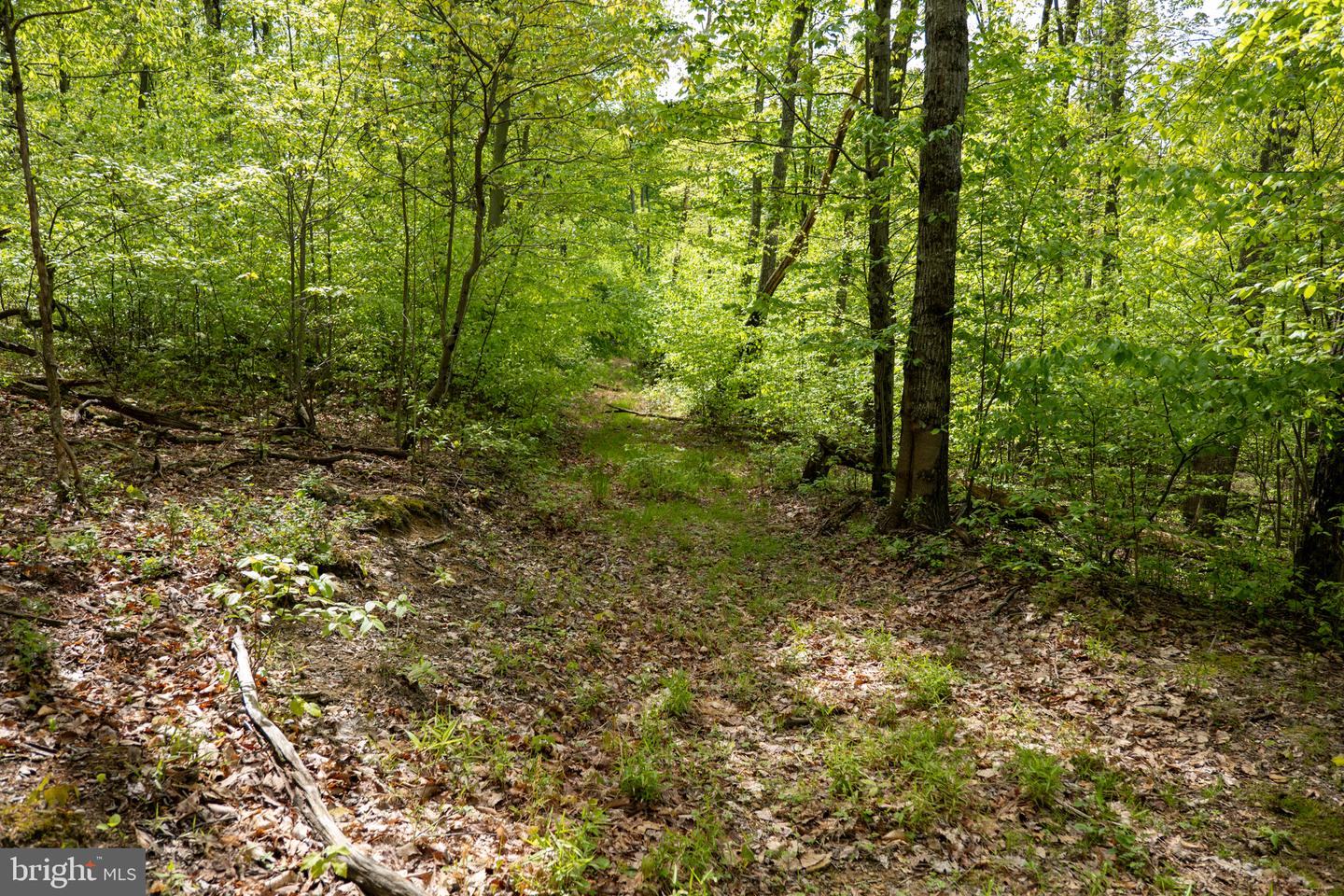 Lot 1 Laurel Mountain Rd Property Photo 136