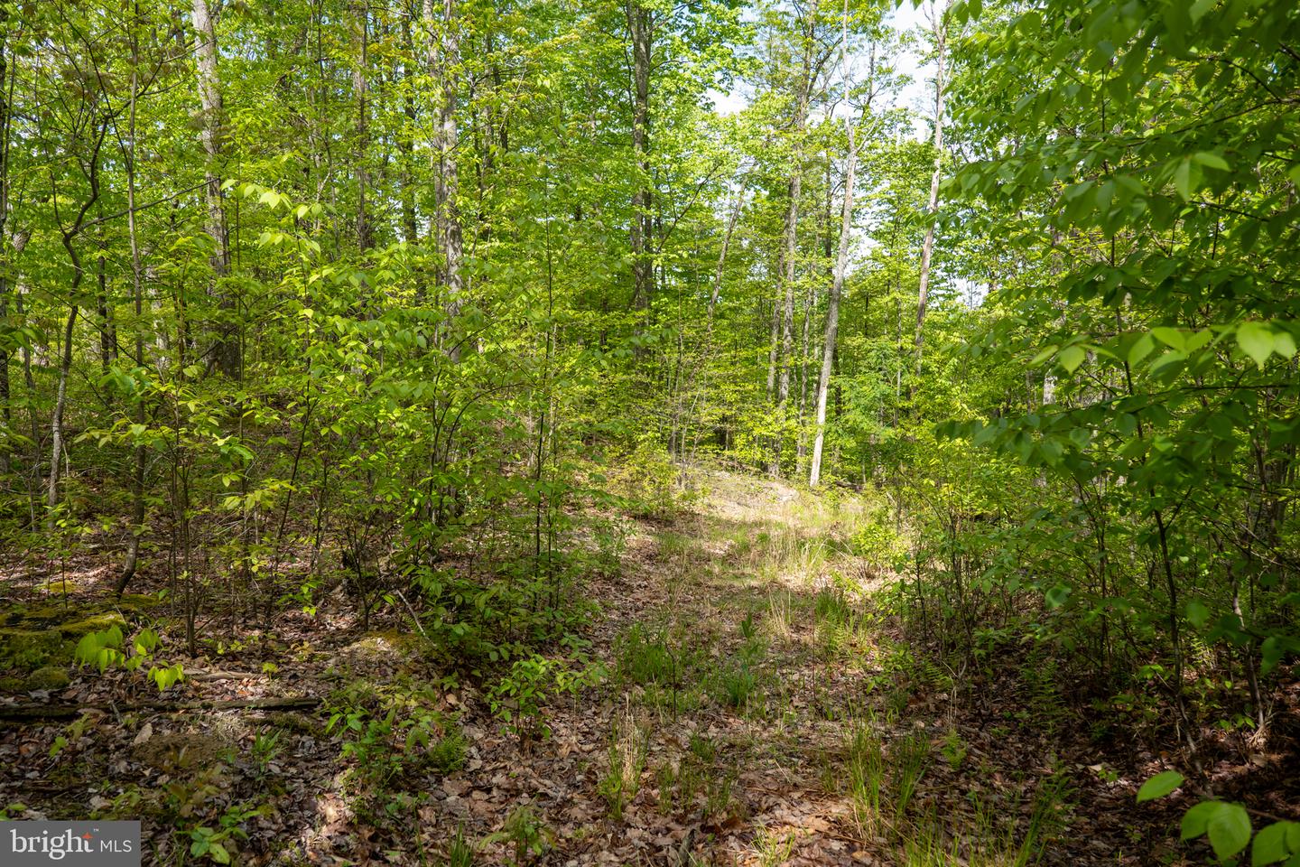 Lot 1 Laurel Mountain Rd Property Photo 137