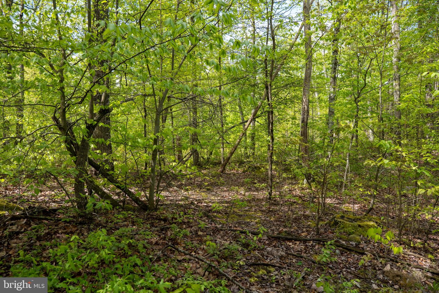 Lot 1 Laurel Mountain Rd Property Photo 138