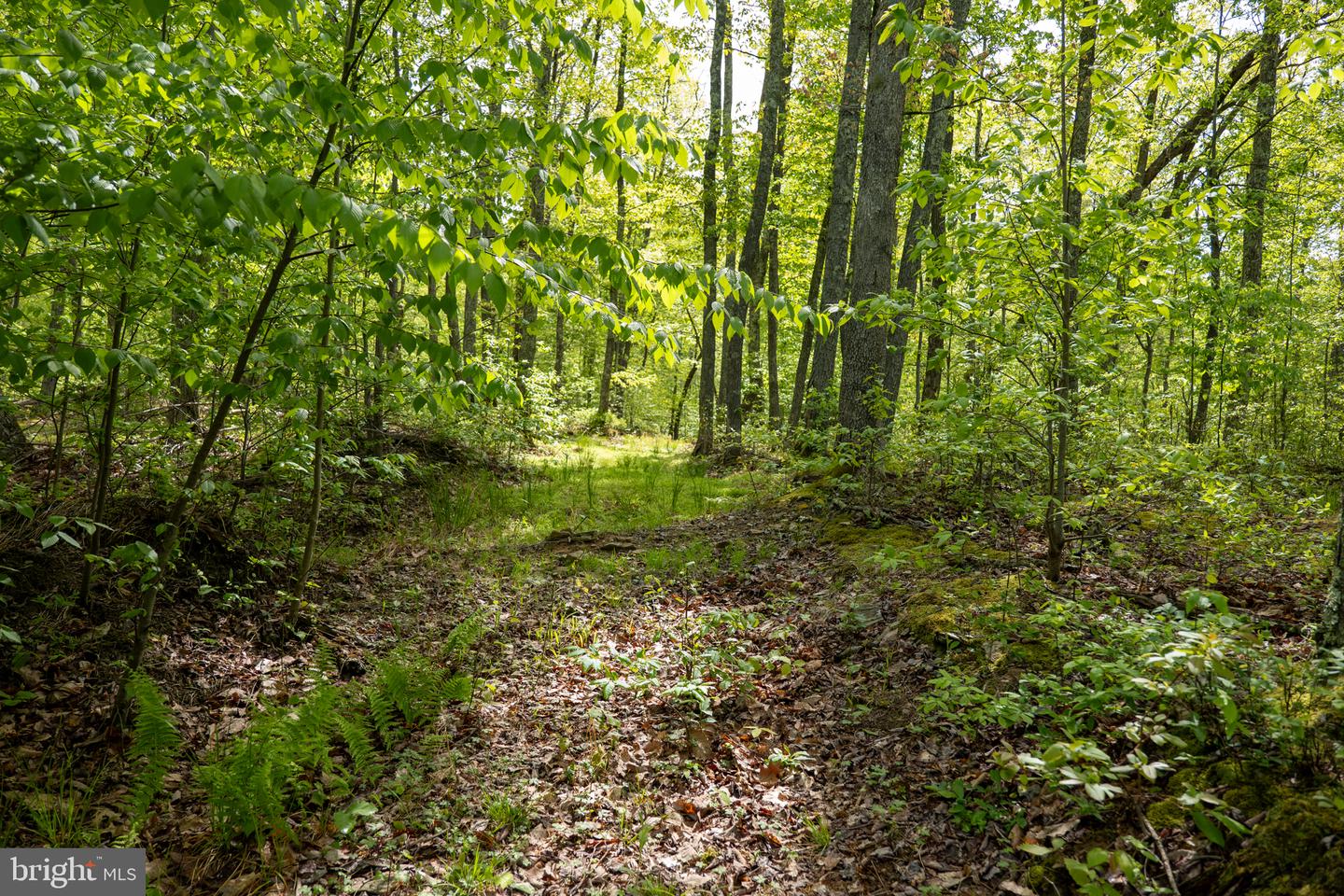 Lot 1 Laurel Mountain Rd Property Photo 140