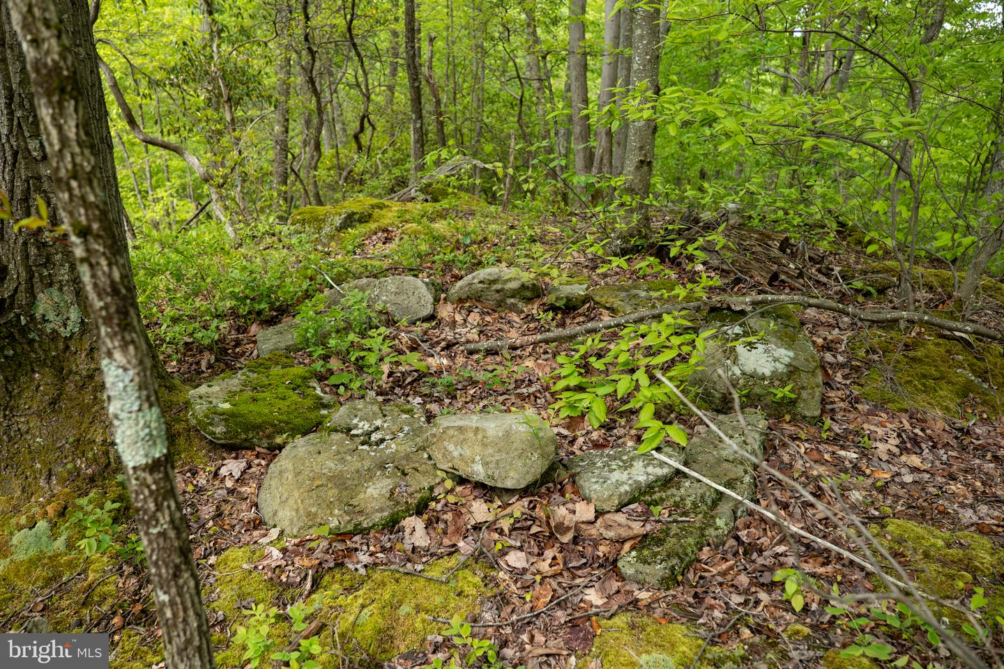 Lot 1 Laurel Mountain Rd Property Photo 143