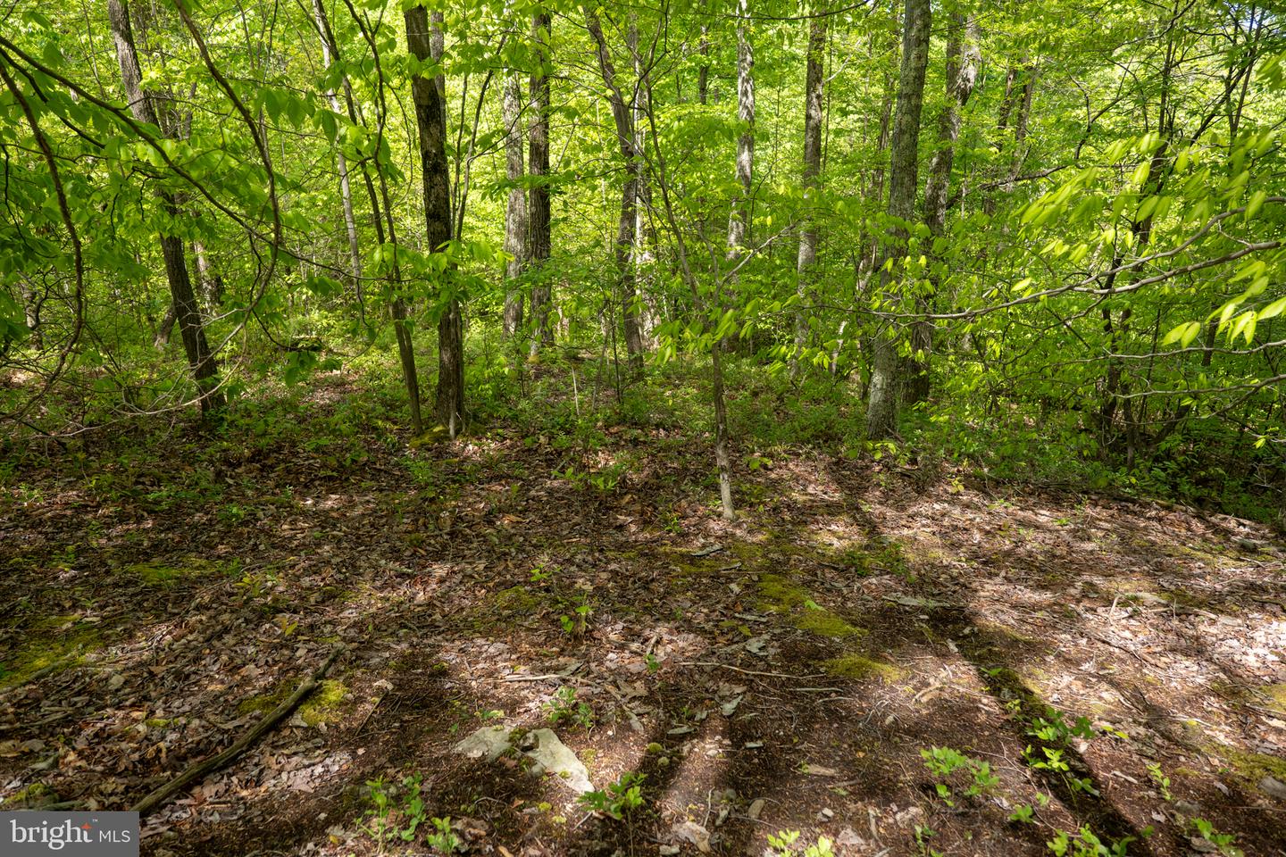 Lot 1 Laurel Mountain Rd Property Photo 144