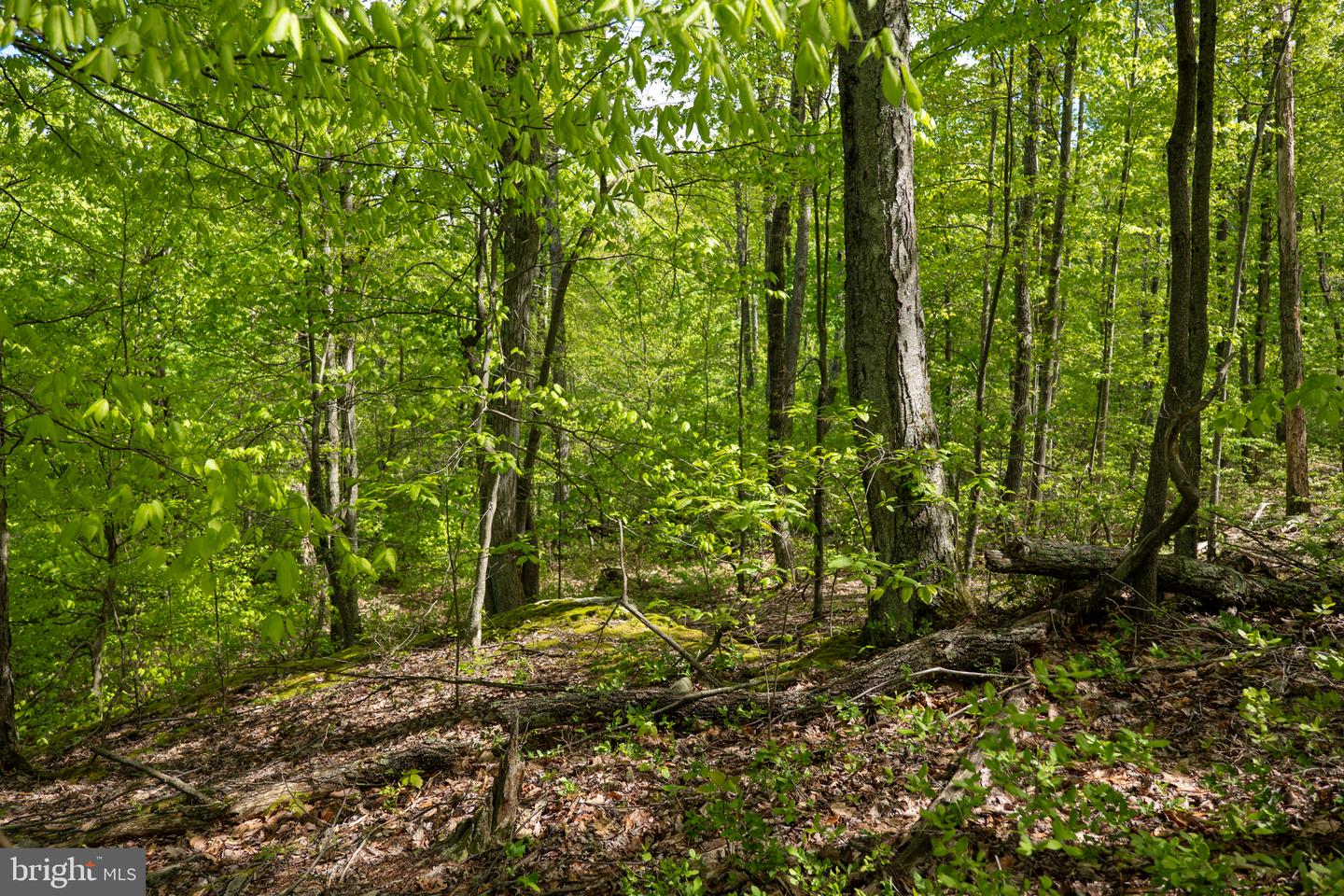 Lot 1 Laurel Mountain Rd Property Photo 146