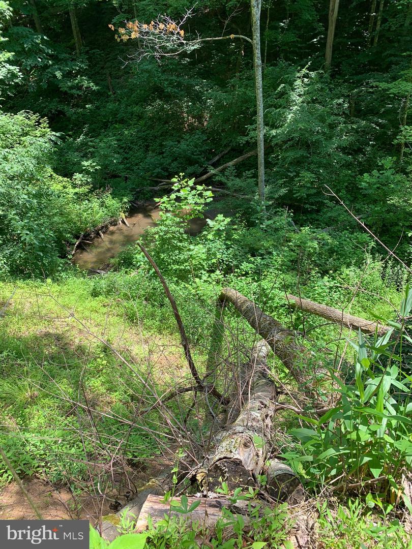 Route 5 Property Photo 2