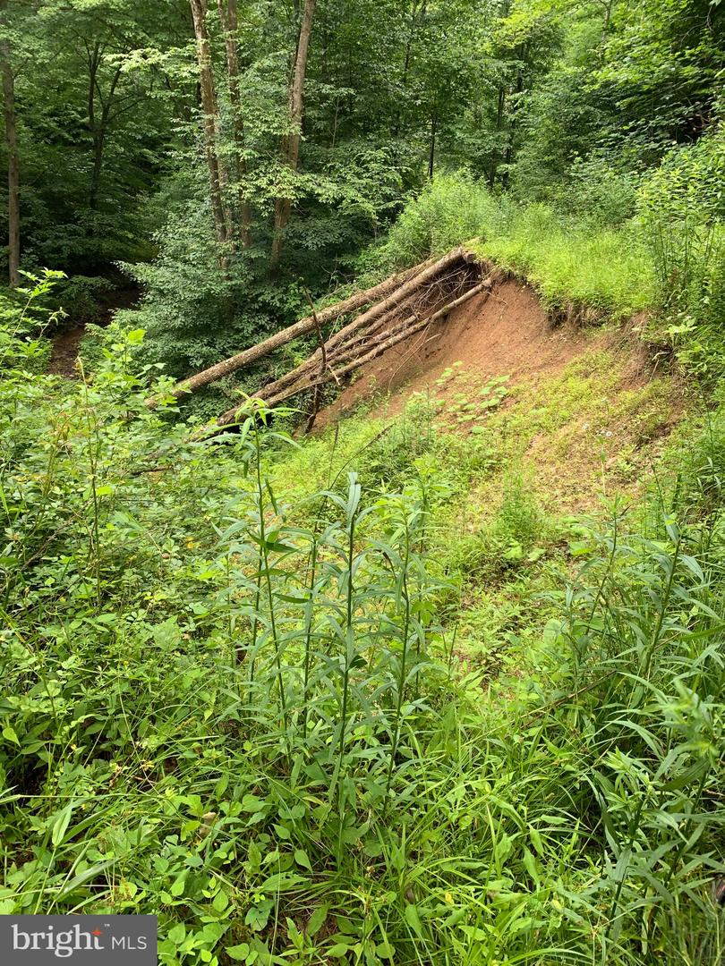 Route 5 Property Photo 3
