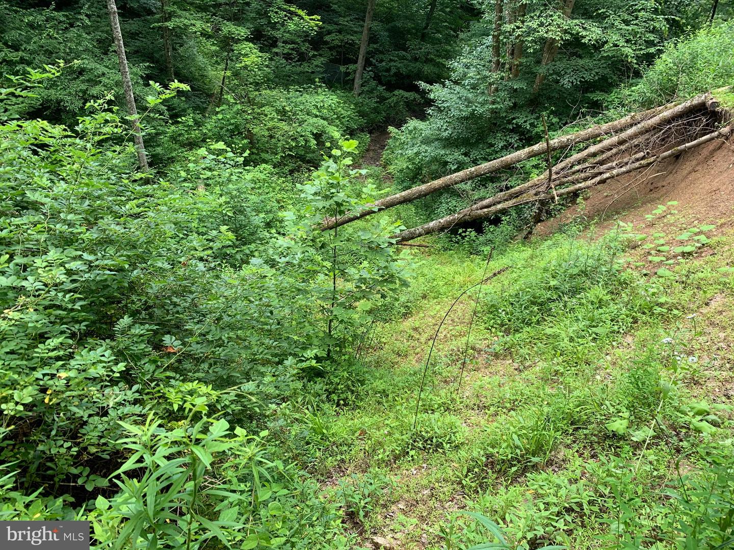 Route 5 Property Photo 4