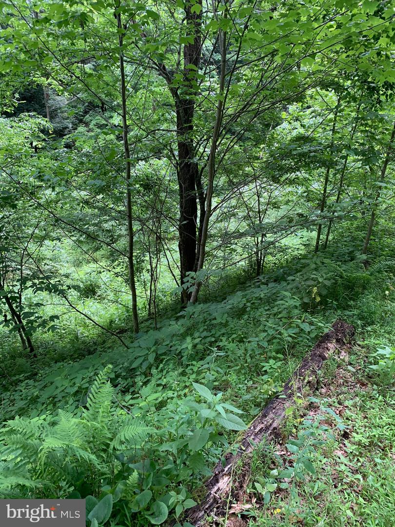 Route 5 Property Photo 5