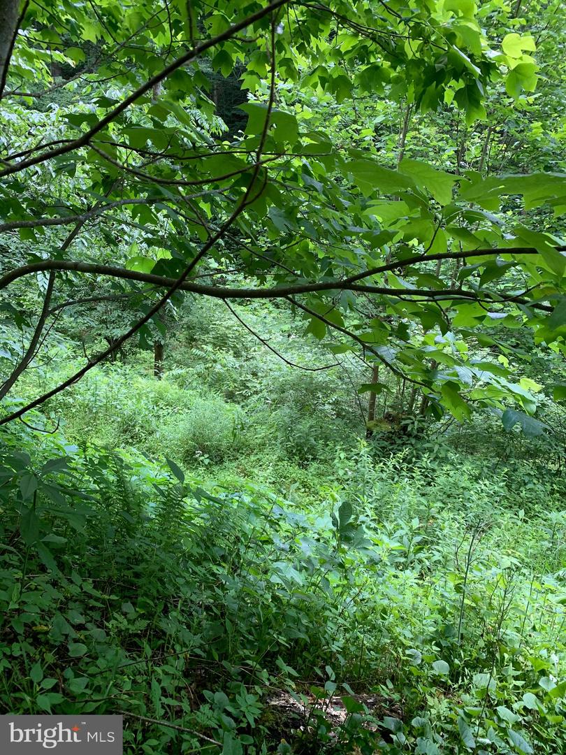 Route 5 Property Photo 6
