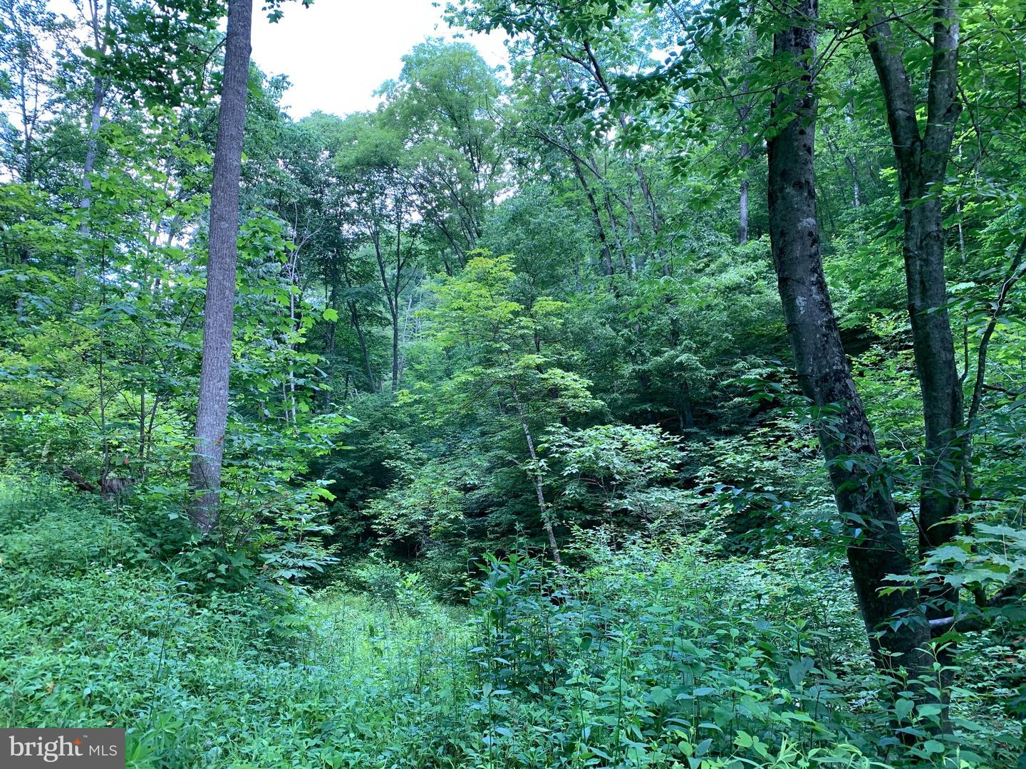 Route 5 Property Photo 7