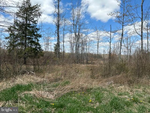 Cherry Ridge Road (lot 5) Property Photo 1