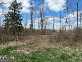 Cherry Ridge Road Property Photo 2
