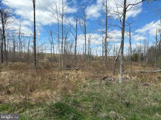 Cherry Ridge Road Property Photo 3