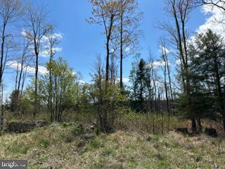 Cherry Ridge Road Property Photo 5