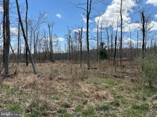 Cherry Ridge Road Property Photo 6