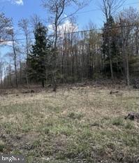Cherry Ridge Road Property Photo 8
