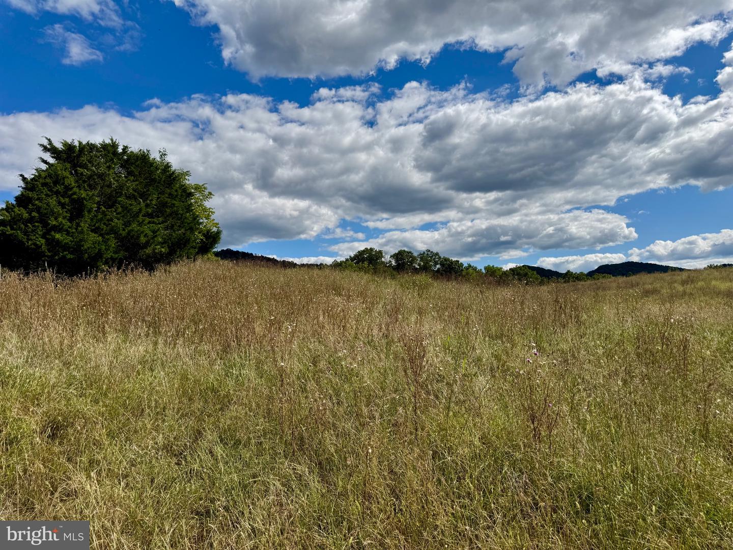1030 Kites Rd Property Photo 24