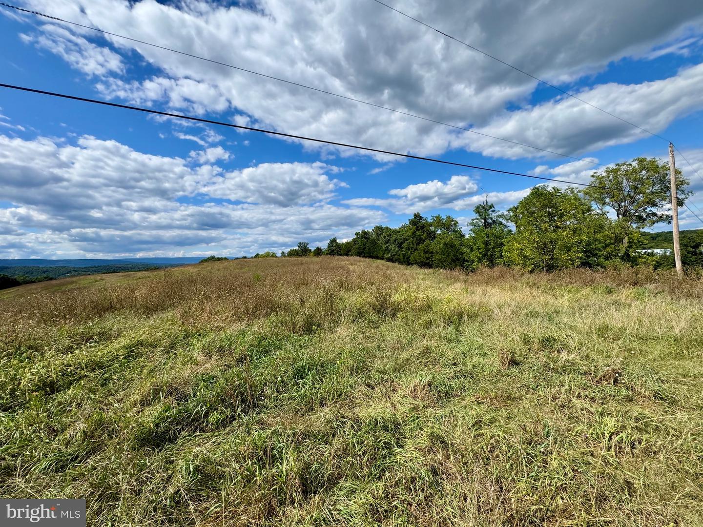 1030 Kites Rd Property Photo 26