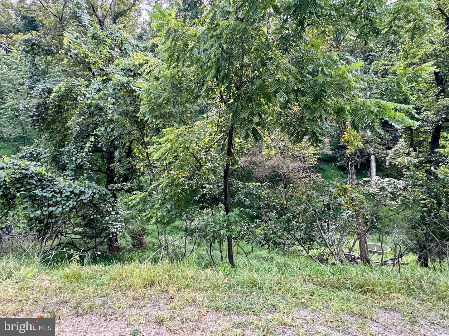 1030 Kites Rd Property Photo 44