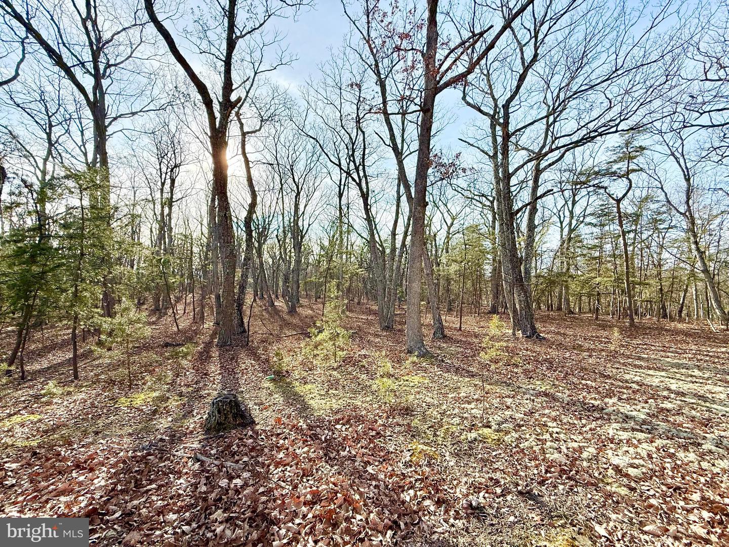 Snickerdoodle Lane Property Photo 1