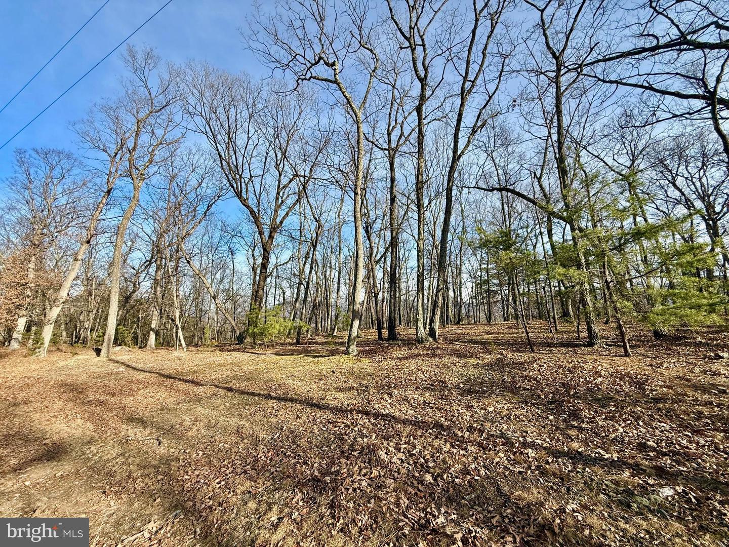 Snickerdoodle Lane Property Photo 3