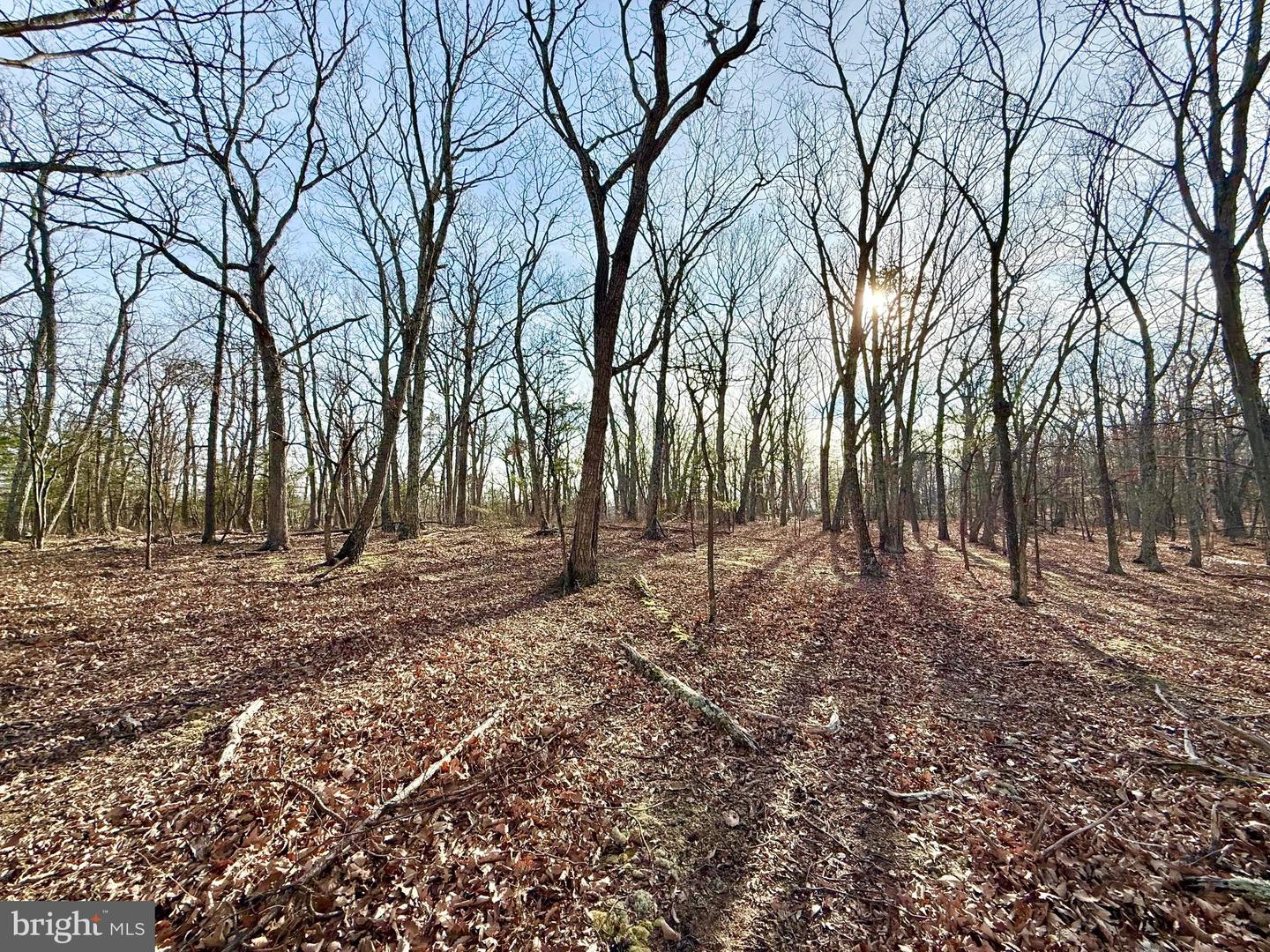 Snickerdoodle Lane Property Photo 4