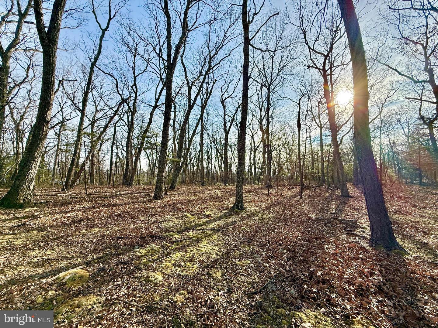 Snickerdoodle Lane Property Photo 5