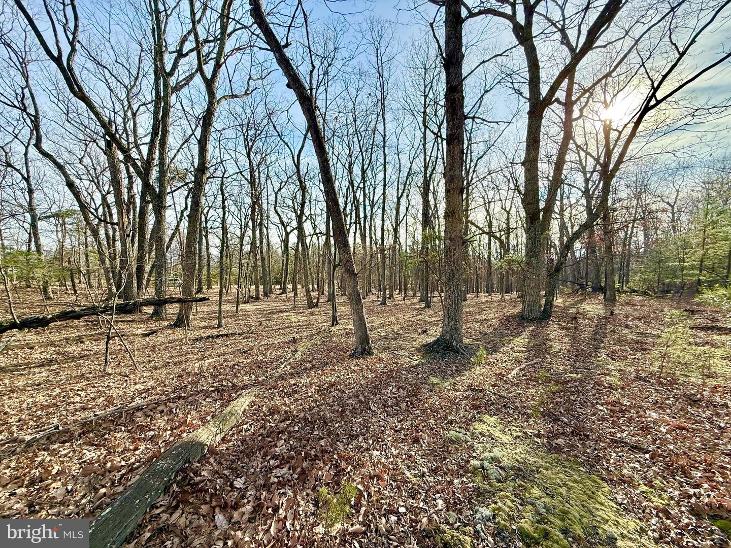 Snickerdoodle Lane Property Photo 6