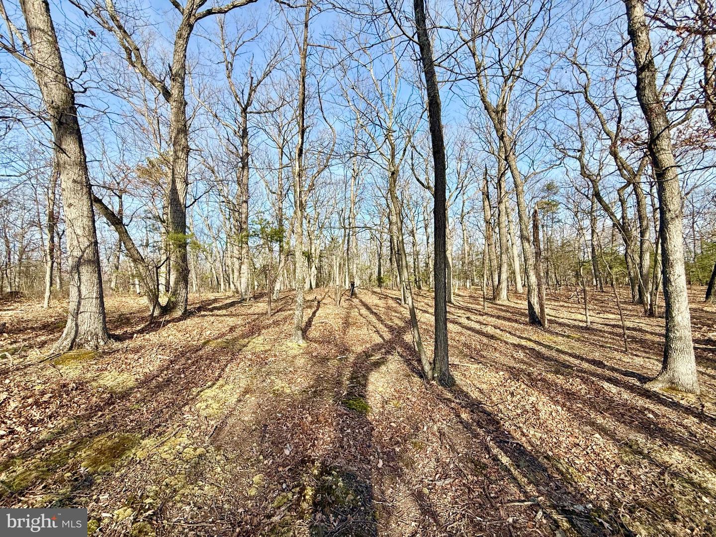 Snickerdoodle Lane Property Photo 7