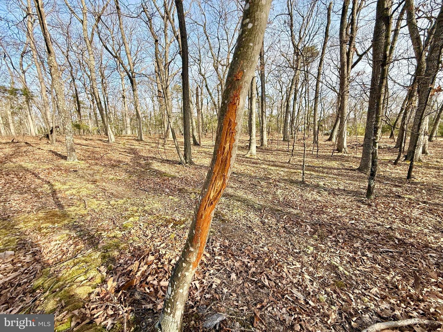 Snickerdoodle Lane Property Photo 8