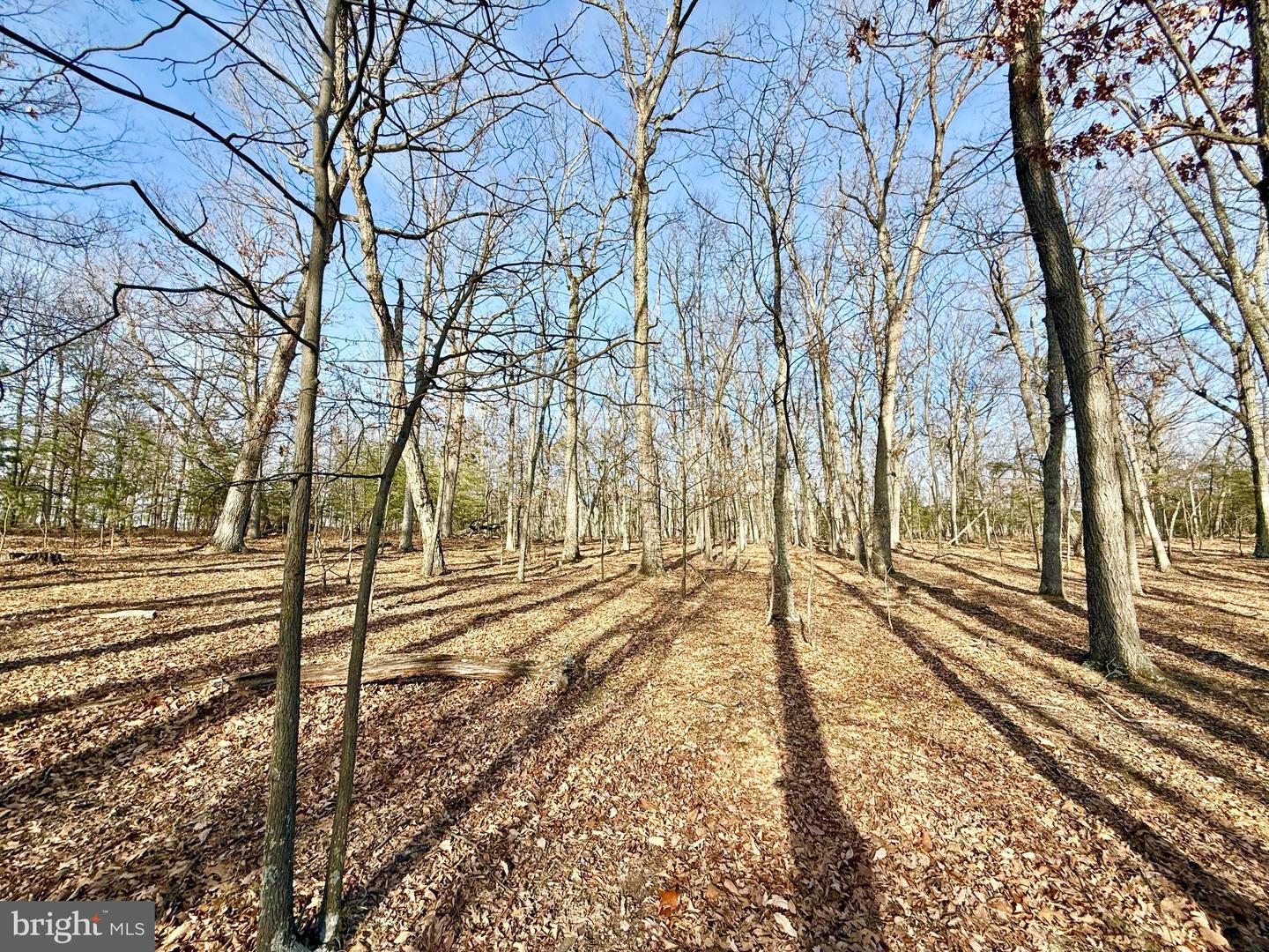 Snickerdoodle Lane Property Photo 10