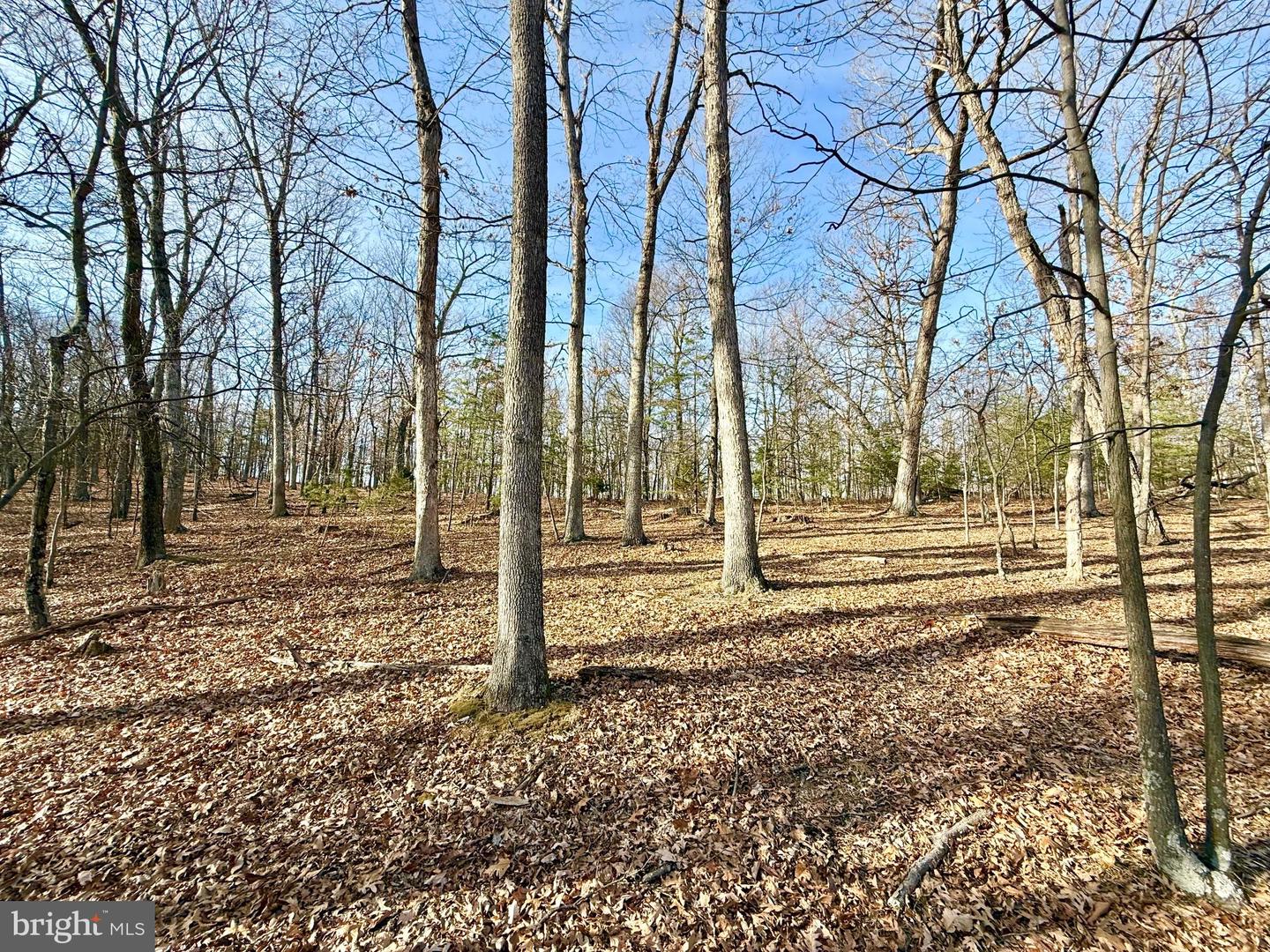 Snickerdoodle Lane Property Photo 11