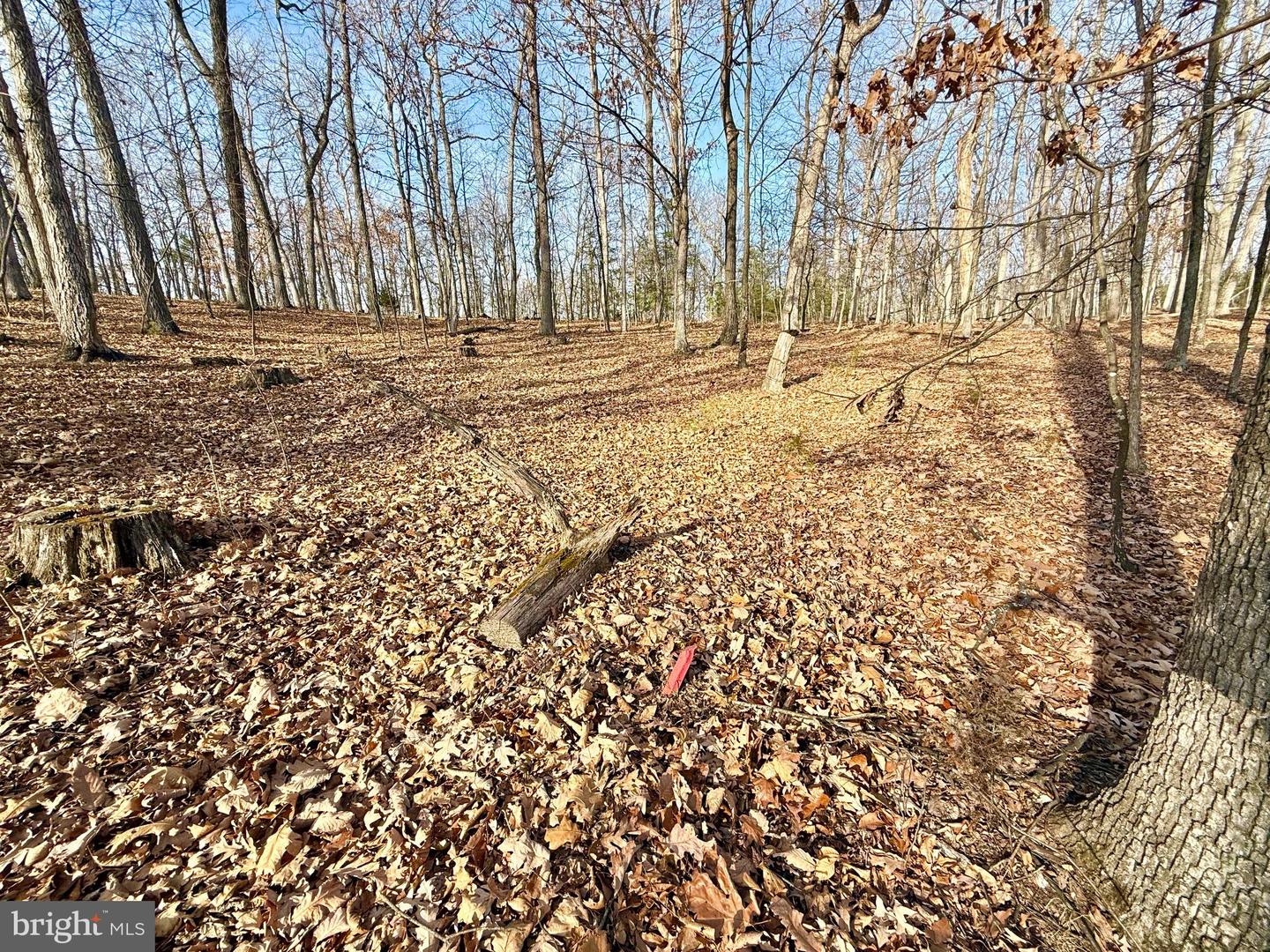 Snickerdoodle Lane Property Photo 12