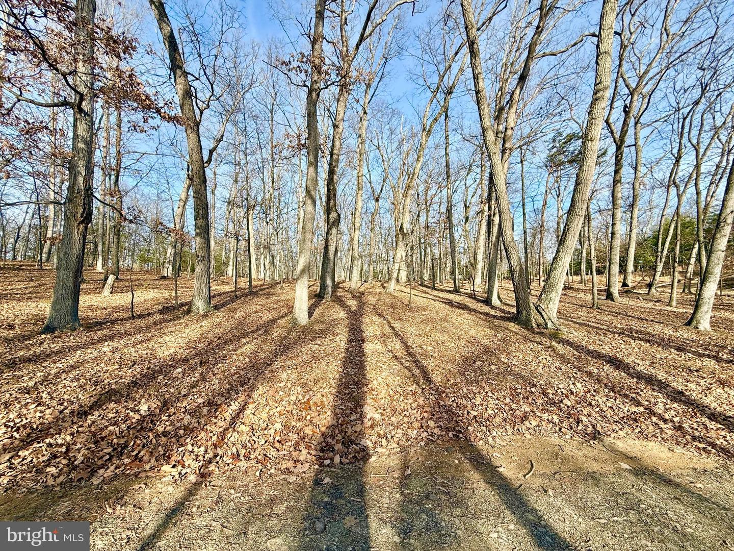 Snickerdoodle Lane Property Photo 13